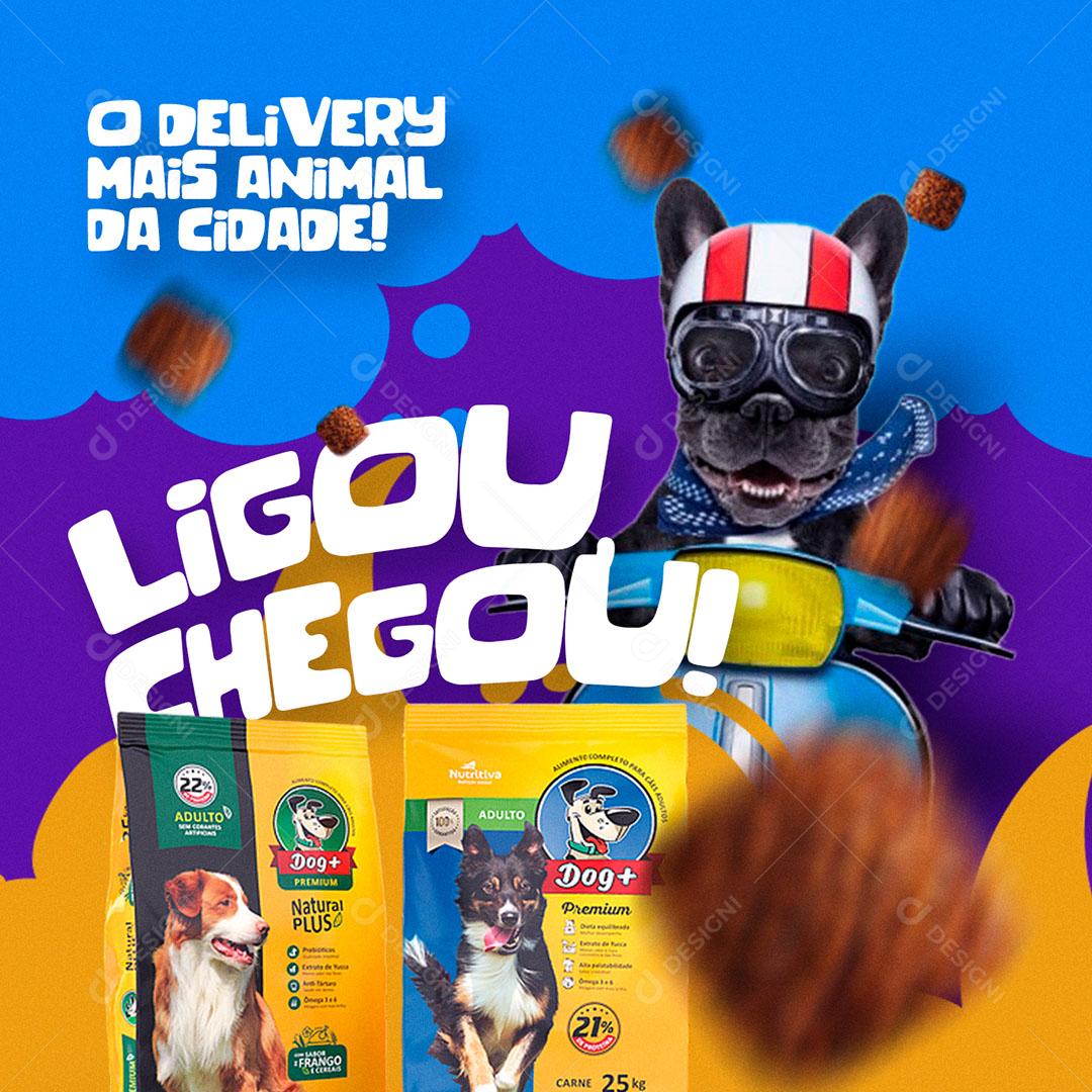 Post Feed Pet Shop O Delivery Mais Animal Ligou Chegou Social Media PSD Editável