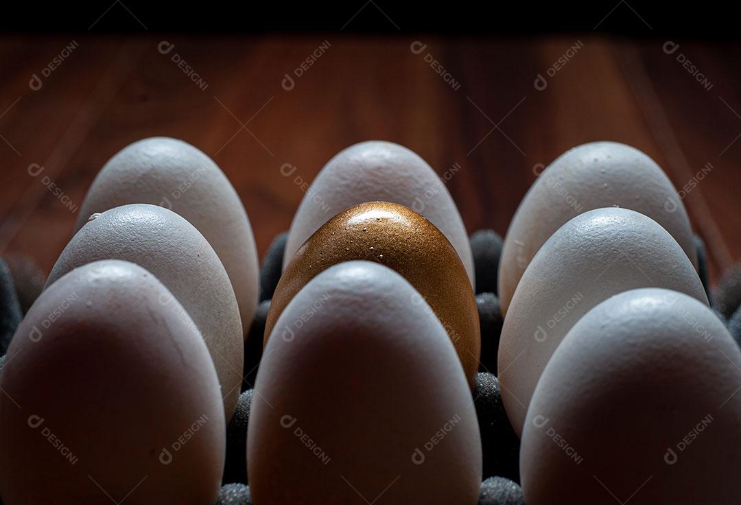 Foto Bandeja Ovos Imagem JPG