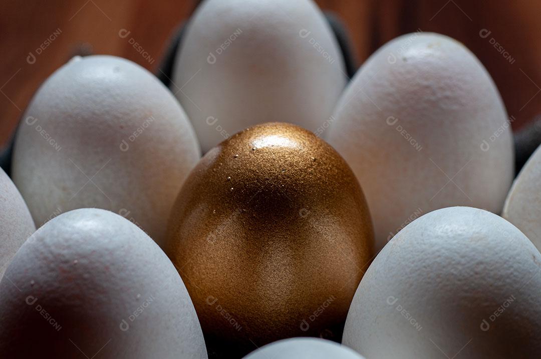 Foto Bandeja Ovos Imagem JPG