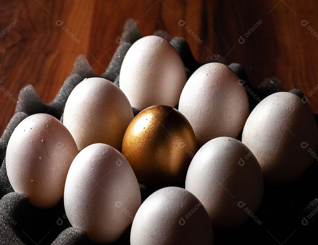 Foto Bandeja Ovos Imagem JPG