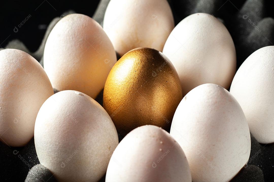 Foto Bandeja Ovos Imagem JPG