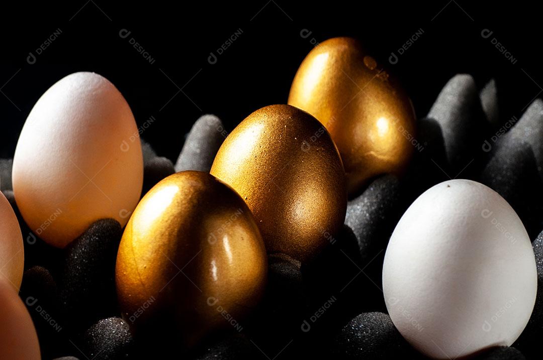 Foto Bandeja Ovos Imagem JPG