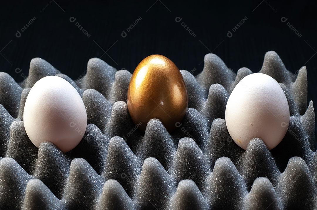 Foto Bandeja Ovos Imagem JPG