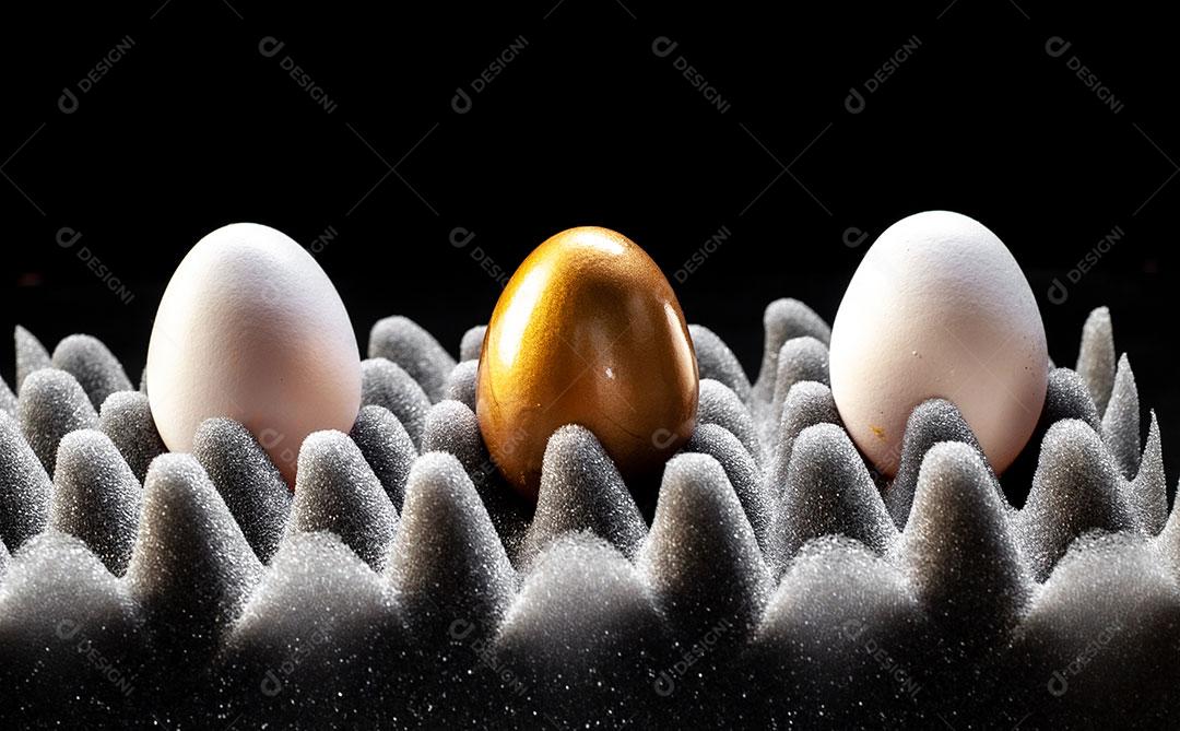 Foto Bandeja Ovos Imagem JPG