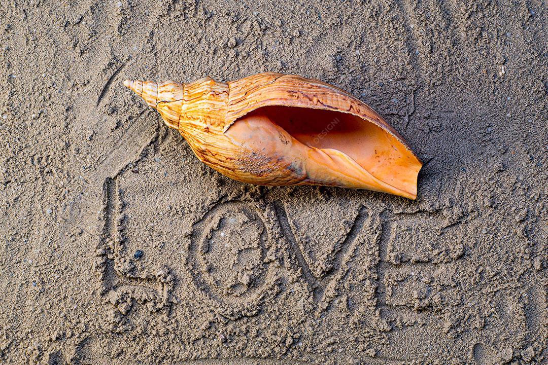 Foto Praia Areia Concha Amor Imagem JPG