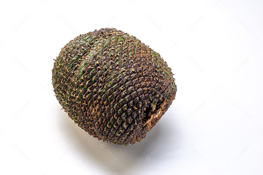 Foto Comida Pinha Pinhão Restaurante Condimento Imagem JPG