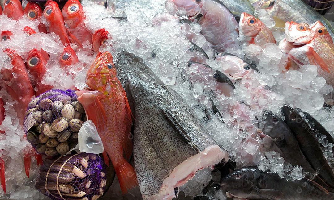 Foto Peixe Gelado Disposto Para Venda Imagem JPG