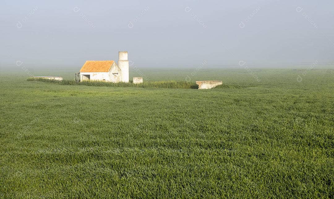 Foto Casa Abandonada Meio Campo Verde Manhã Nevoenta Imagem JPG