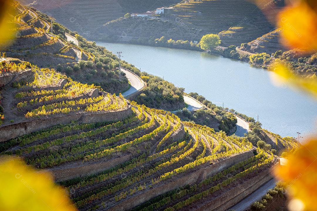 Foto Vista Vinhas Vale Douro Núcleos Outono Portugal Imagem JPG