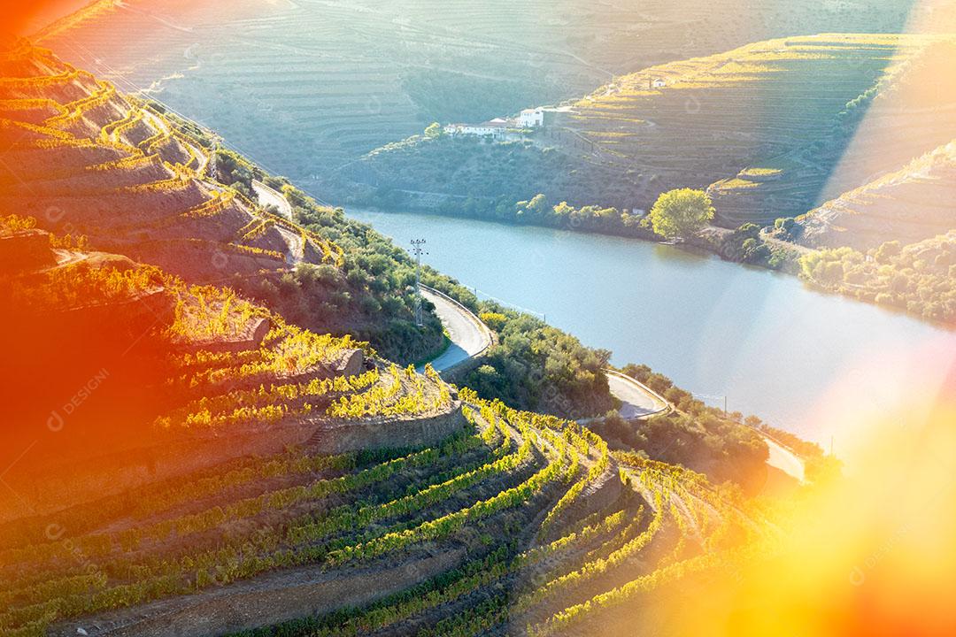 Foto Vista Vinhas Vale Douro Núcleos Outono Portugal Imagem JPG