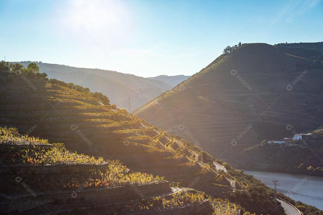 Foto Vista Vinhas Vale Douro Núcleos Outono Portugal Imagem JPG