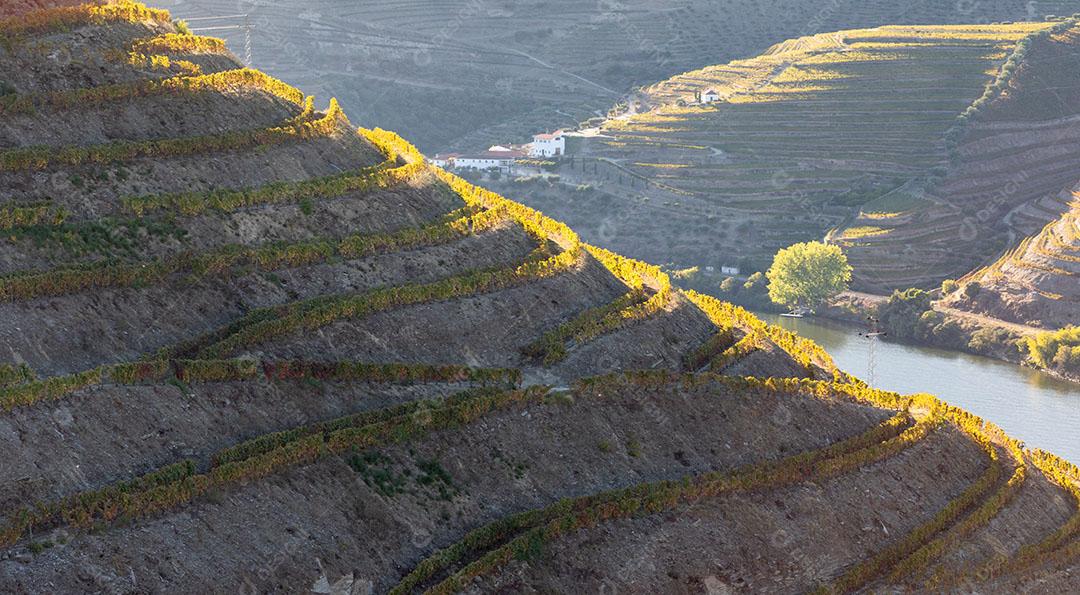 Foto Vista Vinhas Vale Douro Núcleos Outono Portugal Imagem JPG
