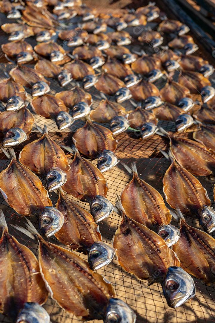 Foto Peixes Secos Praia Nazaré Imagem JPG