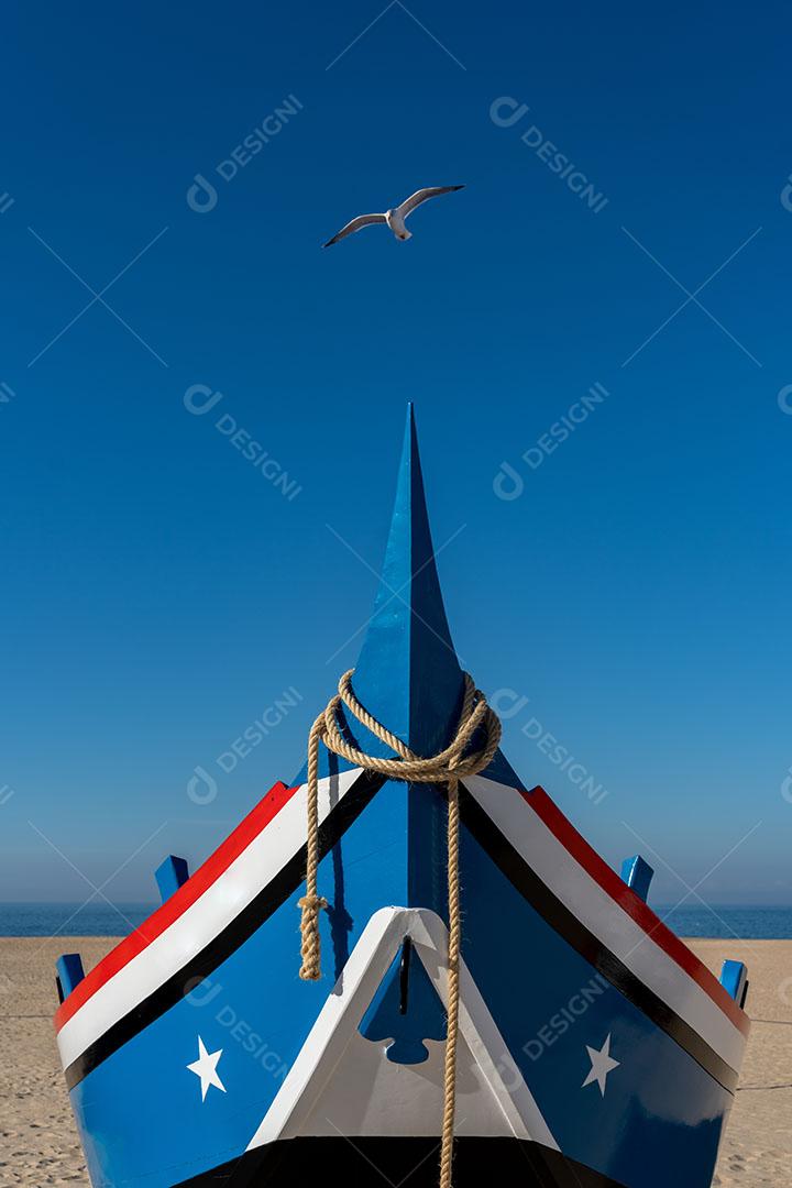 Foto Gaivota Voando Barco Atracado Praia Nazaré Imagem JPG