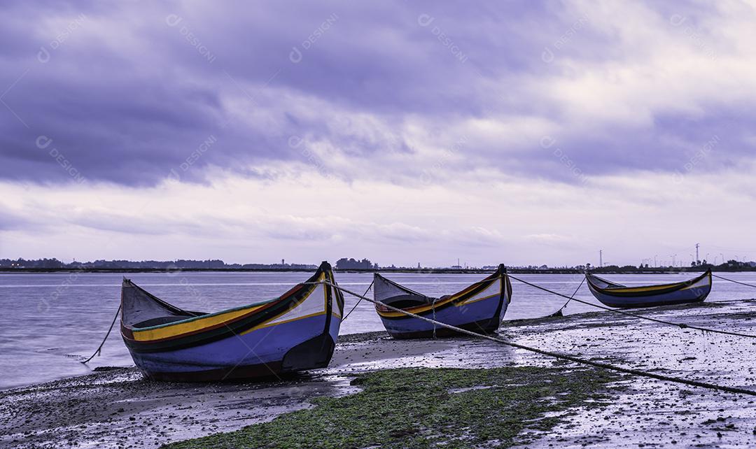 Foto Barcos Coloridos Pegando Algas Ria Aveiro Imagem JPG