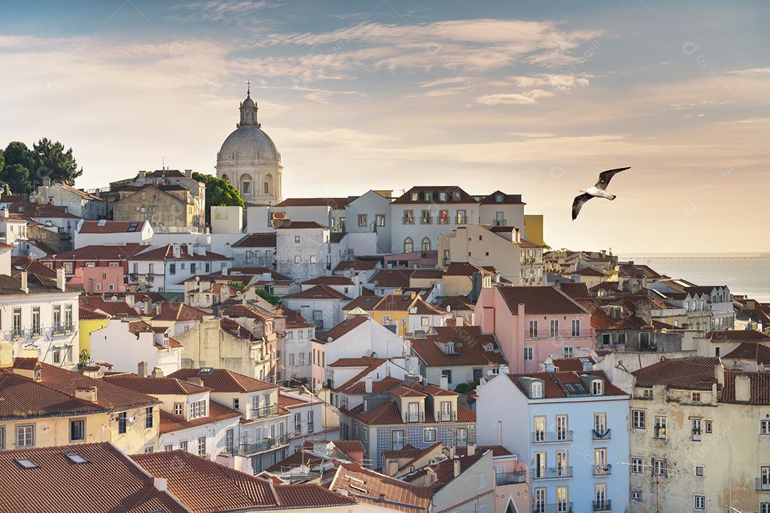 Foto Vista Bairro Típico Alfama Lisboa Portugal Gaivota Voando Céu Imagem JPG