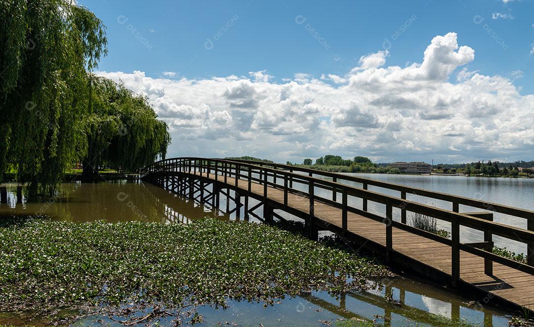 Foto Barco Escondido Vegetação Águas Lagoa Pateira Fermentelos Aveiro Portugal Passarela de Madeira Sobre a Lagoa Natural da Pateira de Fermentelos Aveiro, Portugal