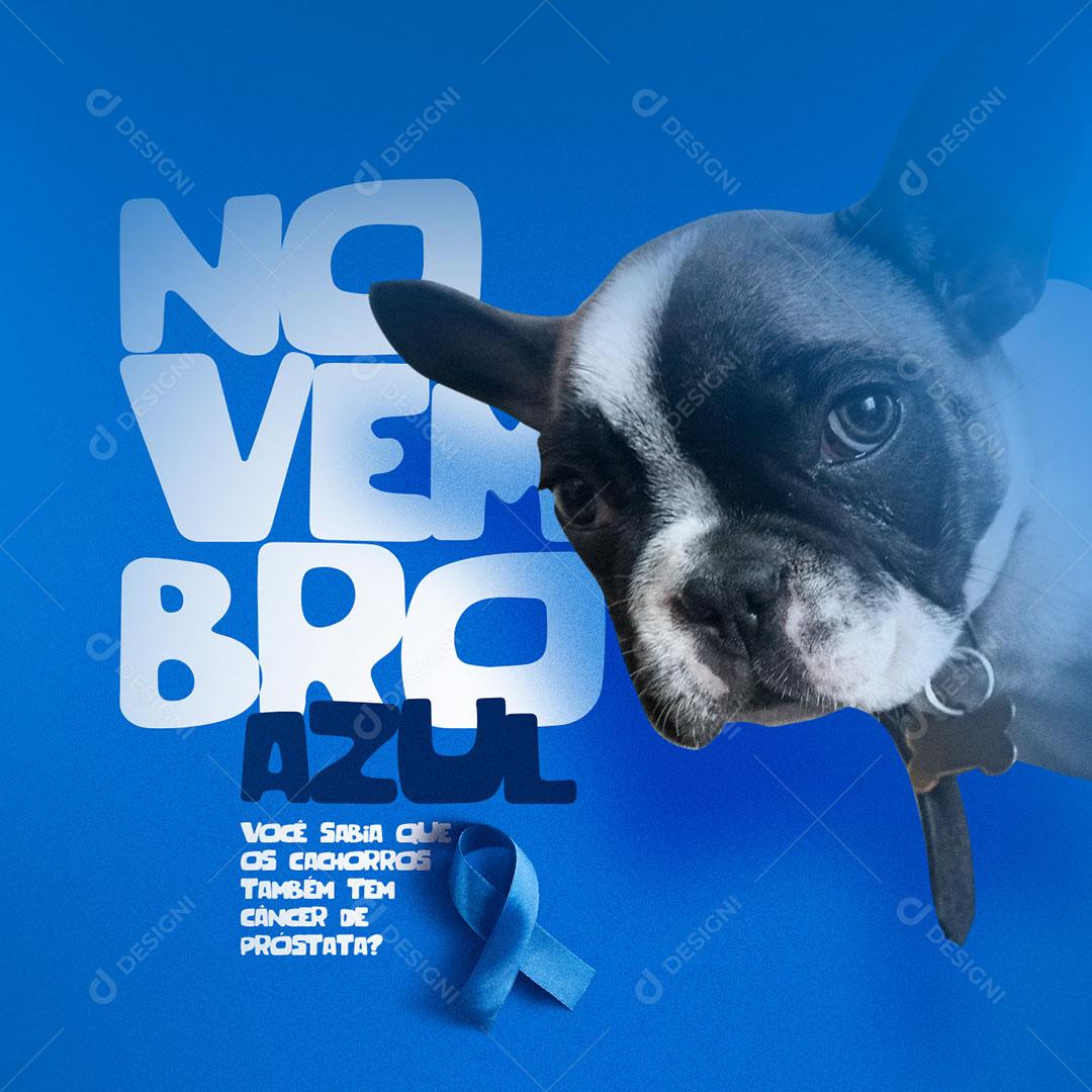 Social Media Data Comemorativa Novembro Azul Pet Shop PSD Editável