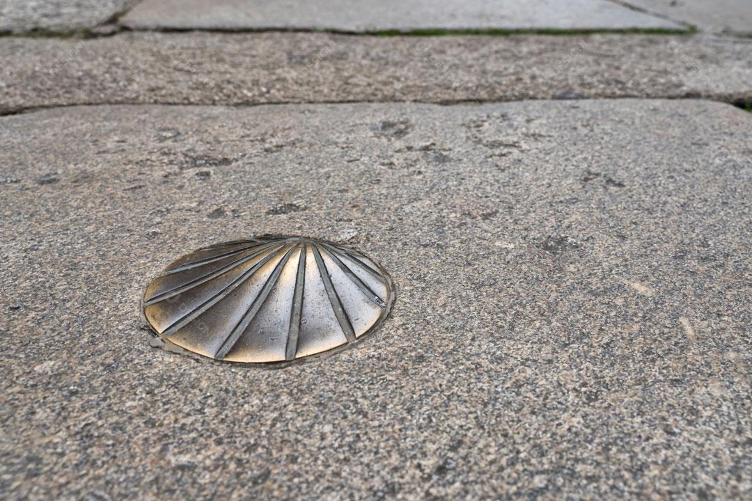 Concha de Santiago Símbolo Imagem JPG