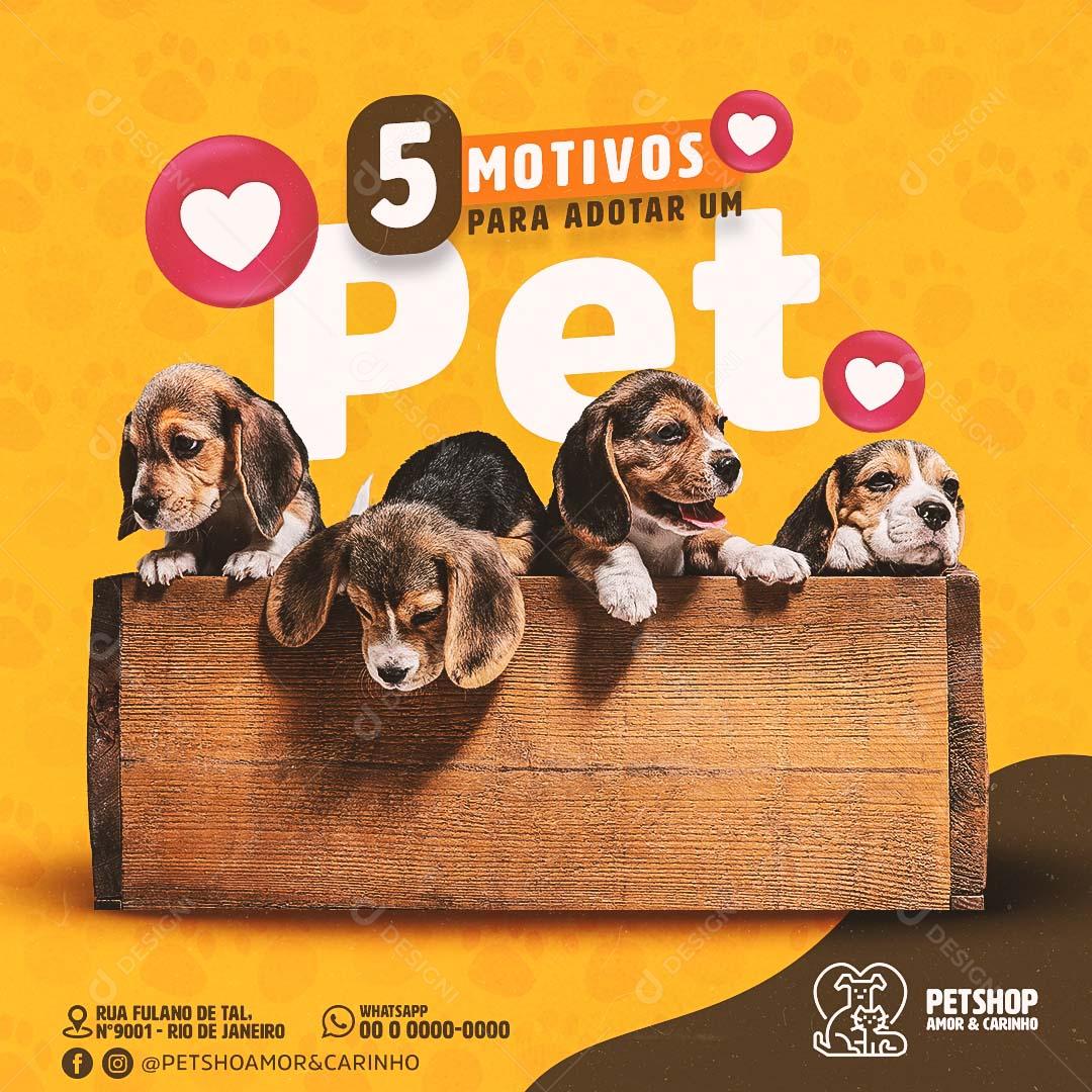 Social Media Post Feed Pet Shop 5 Motivos Para Adotar Um Pet PSD Editável