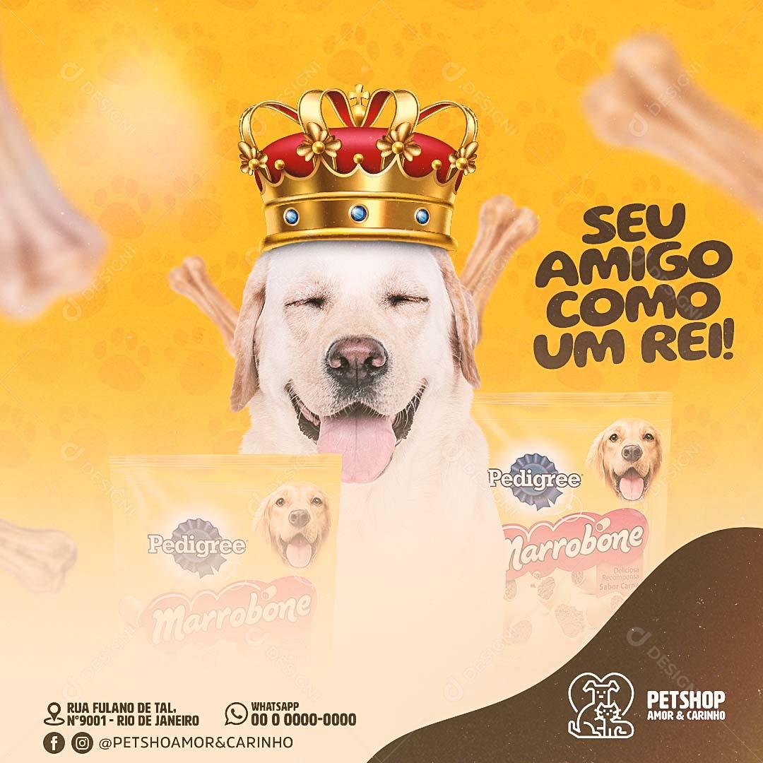 Post Feed Pet Shop Social Media Seu Amigo Como Um Rei Pet PSD Editável