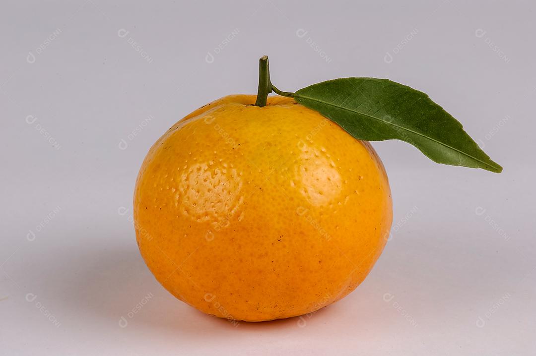 Fruta De Tangerinas Em Fundo Branco Agronegócio JPG Imagem