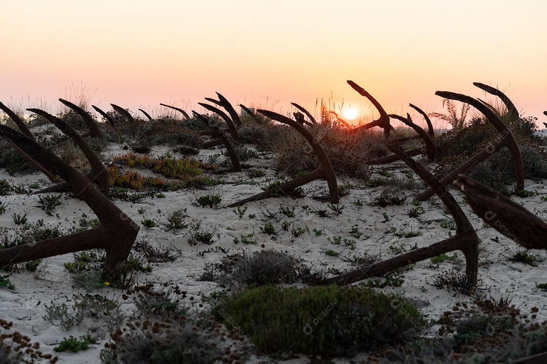 Foto Velhas Âncoras Areia Praia Barril Tavira Algarve Imagem JPG