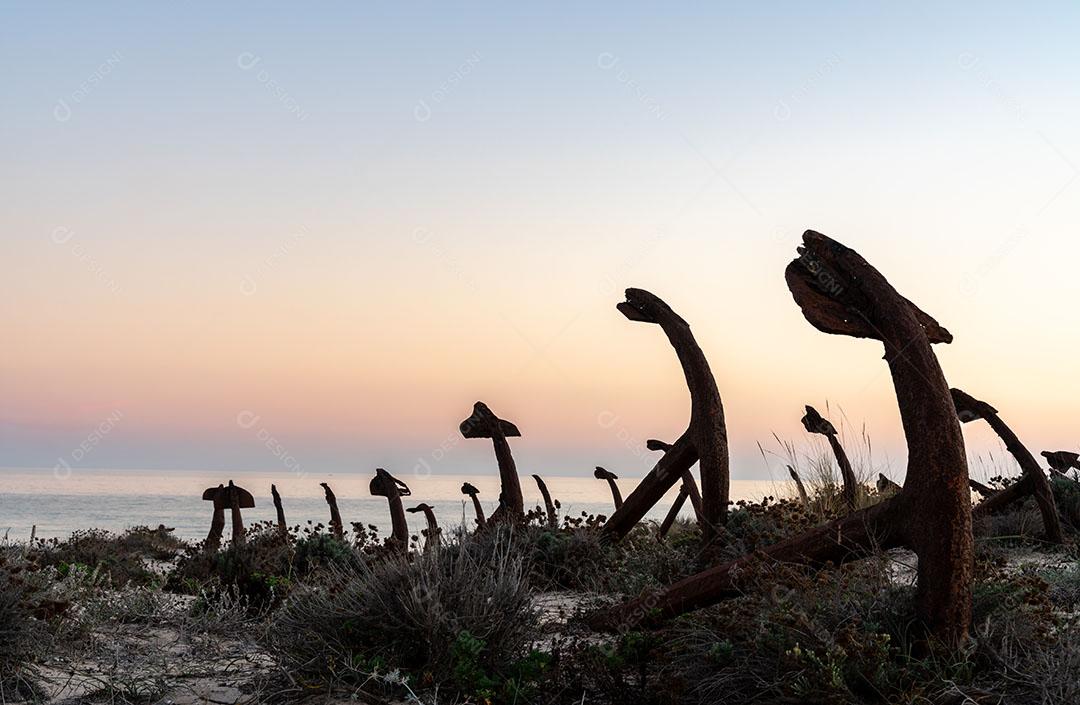 Foto Velhas Âncoras Areia Praia Barril Tavira Algarve Imagem JPG