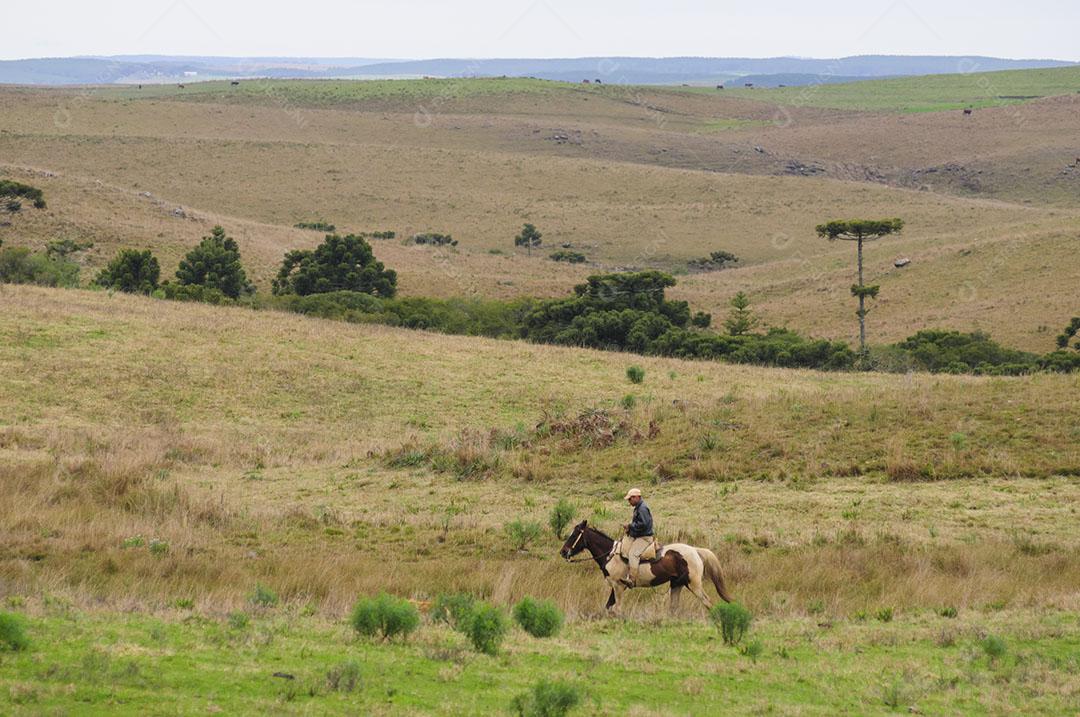 Foto Vaqueiro Campo Serra Gaúcha Zona Rural Imagem JPG