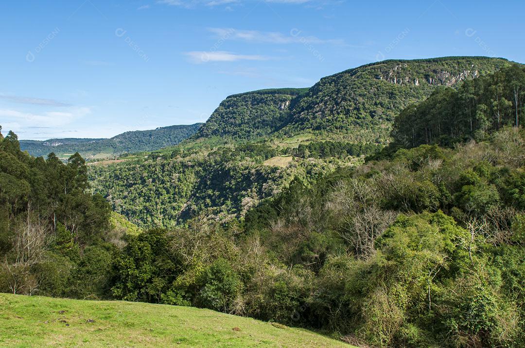 Foto Serra Arvores Montanhas Ceu Limpo Gaúcha Zona Rural Imagem JPG