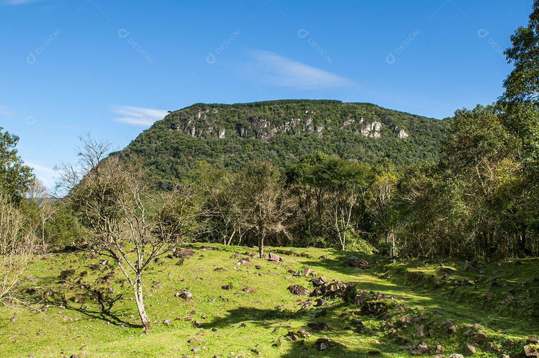 Foto Serra Arvores Montanhas Ceu Limpo Gaúcha Zona Rural Imagem JPG