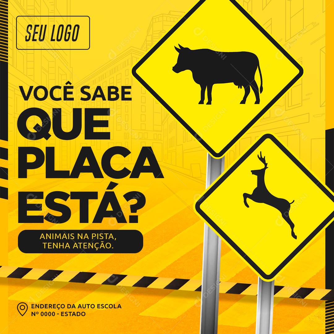 Você Sabe Que Placa Esta Social Media PSD Editável