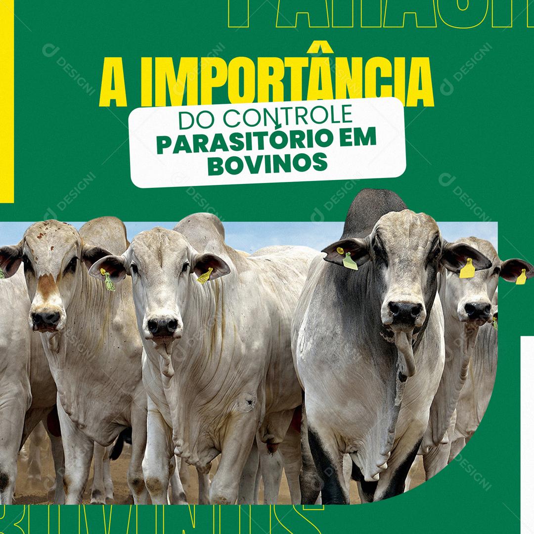A Importância Da Do Controle Parasitário Social Media PSD Editável