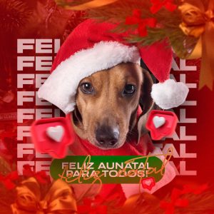 Post Feliz Natal Para Todos Petshops Social Media PSD Editável