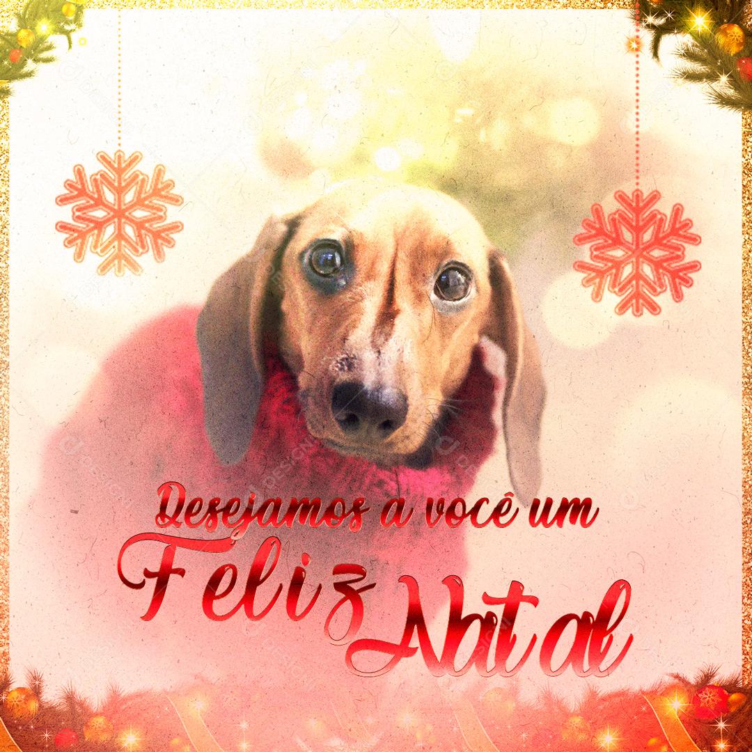 Social Media Pet Shop Natal Desejamos a Você um Feliz Natal PSD Editável