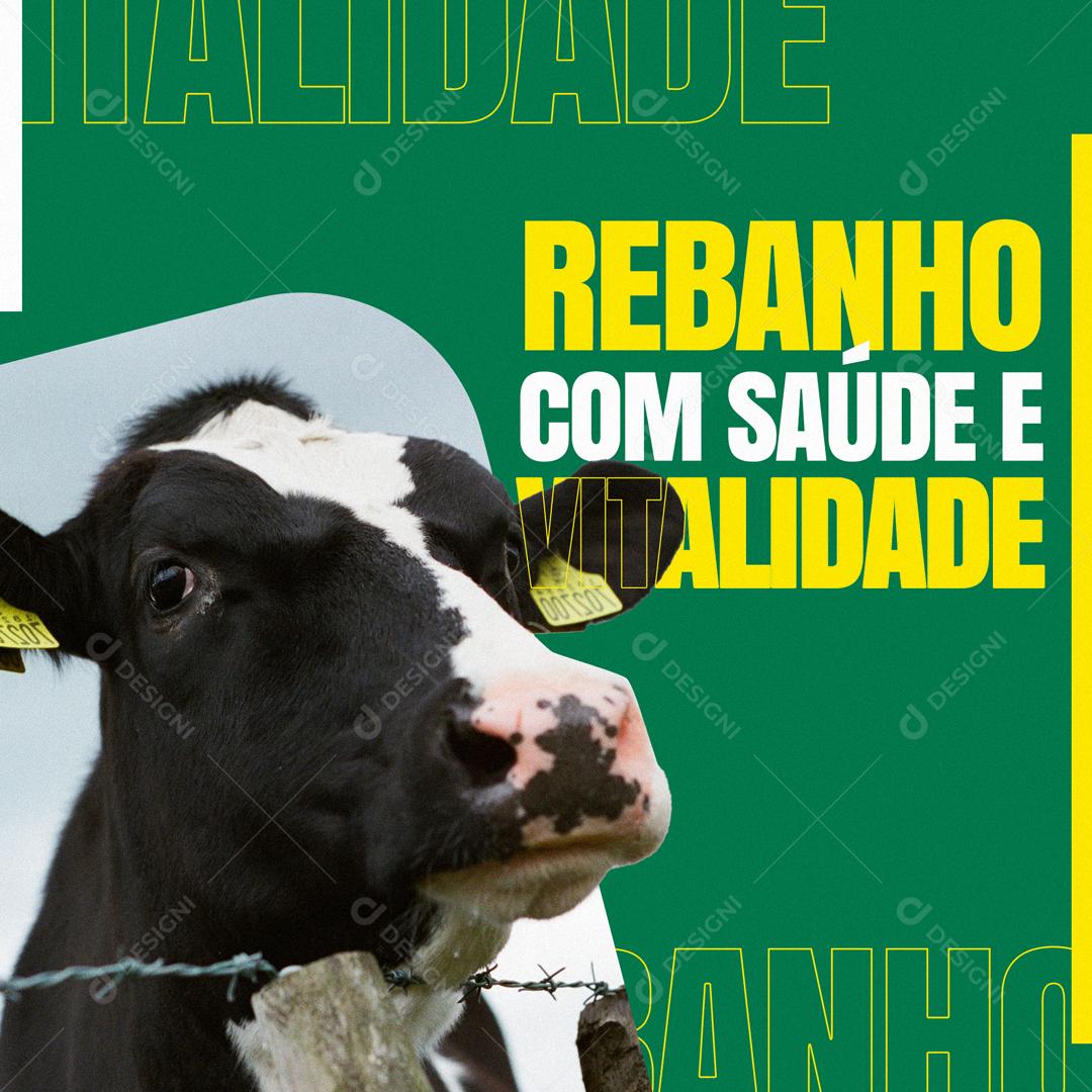 Rebanho Com Saúde E Vitalidade Social Media PSD Editável