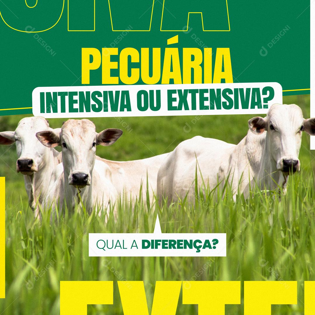 Pecuária Intensiva Ou Extensiva Social Media PSD Editável