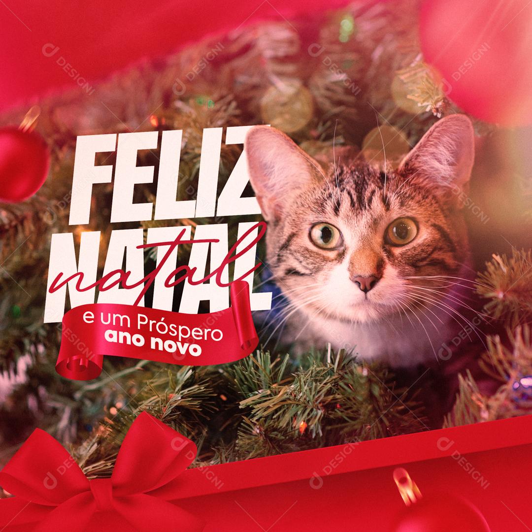 Feliz Natal E Um Próspero  Ano Novo Social Media PSD Editável