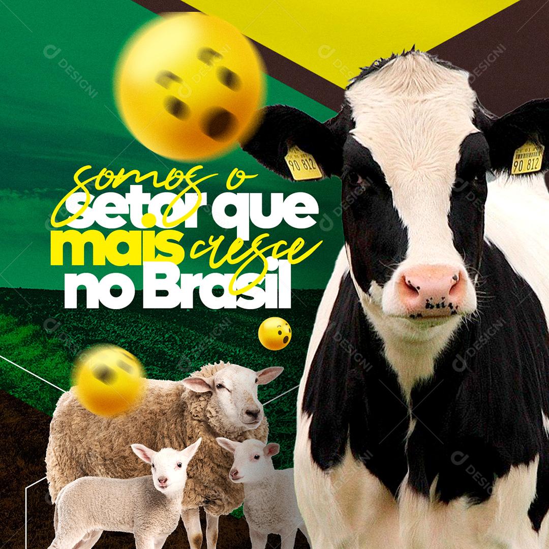 Post Agronomia Somos O Setor Que Mais Cresce Social Media PSD Editável