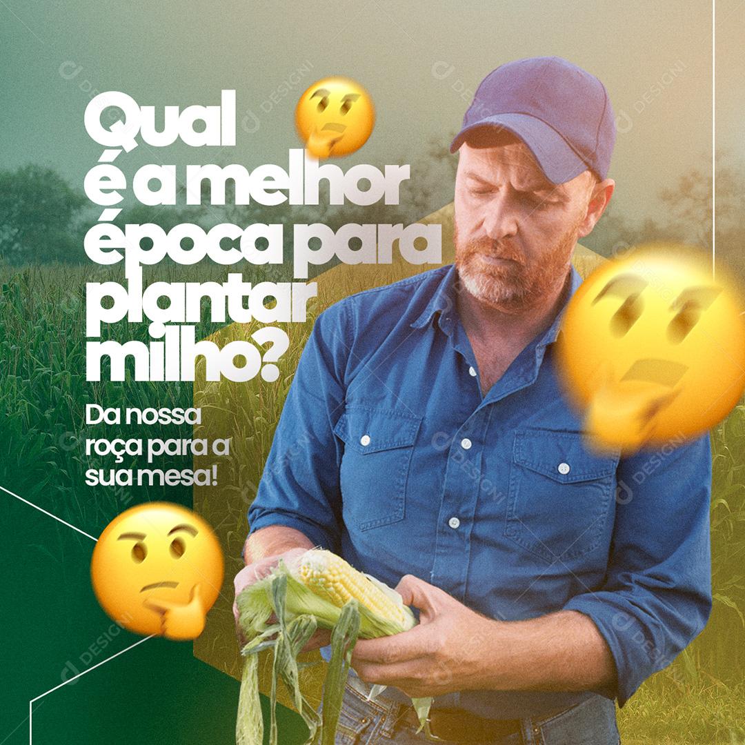Post Agronomia Qual É A Melhor Época Para Plantar Milho Social Media PSD Editável
