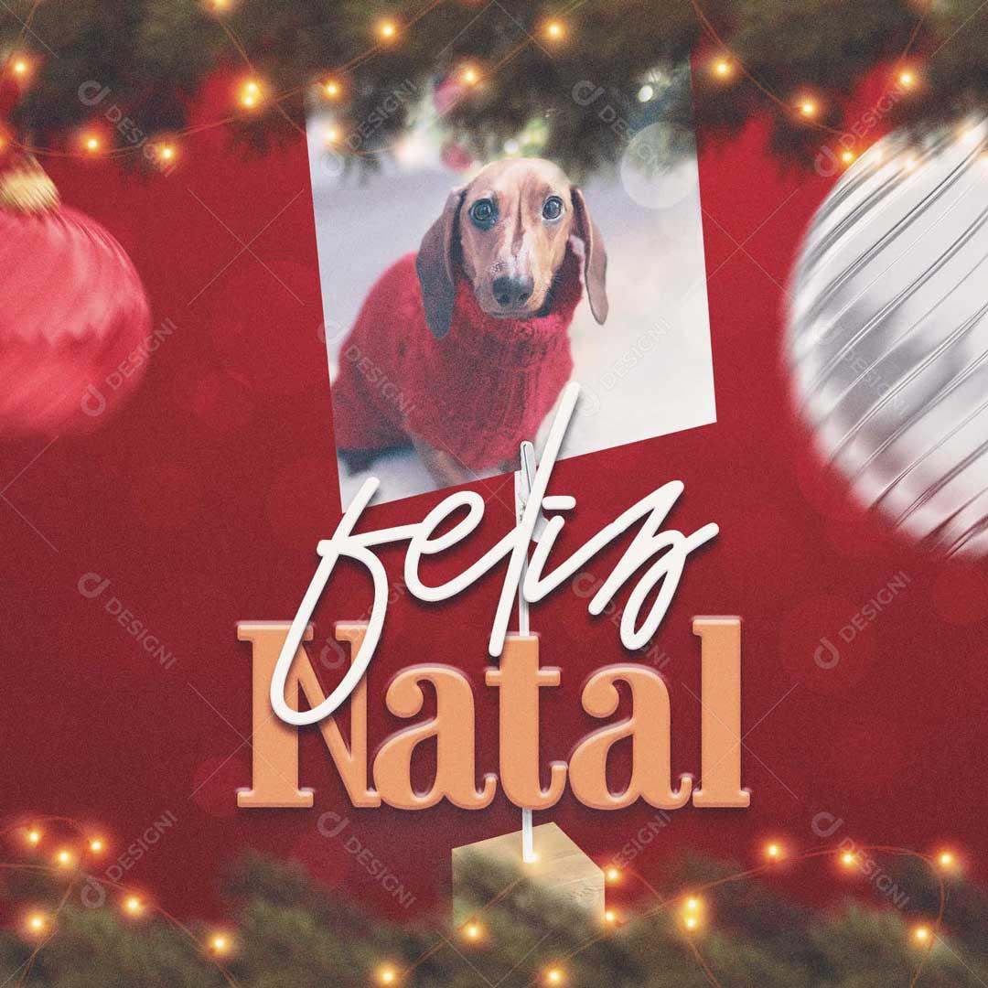 Feliz Natal Pet Cachorro Animais Social Media PSD Editável