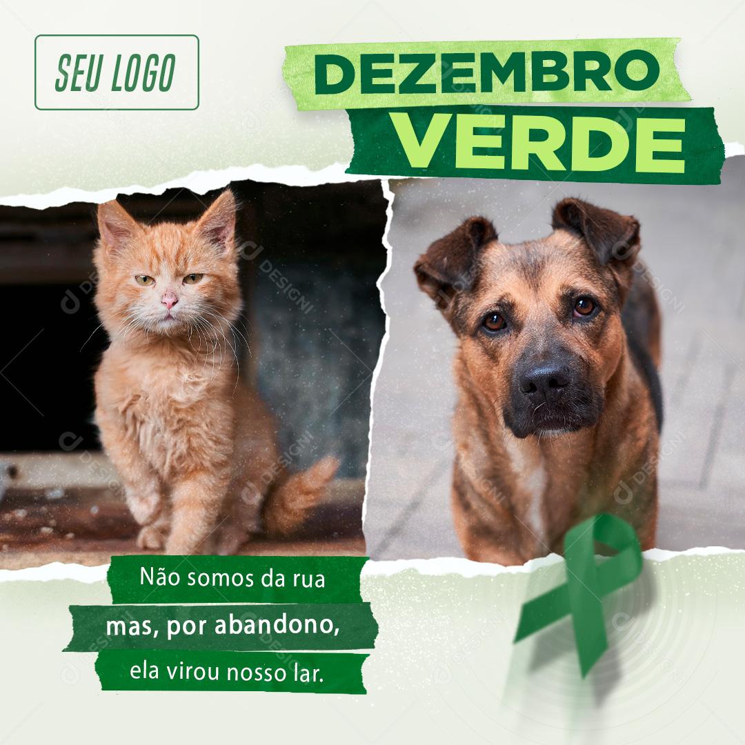 Dezembro Verde Não ao Abandono De Animais Social Media PSD Editável