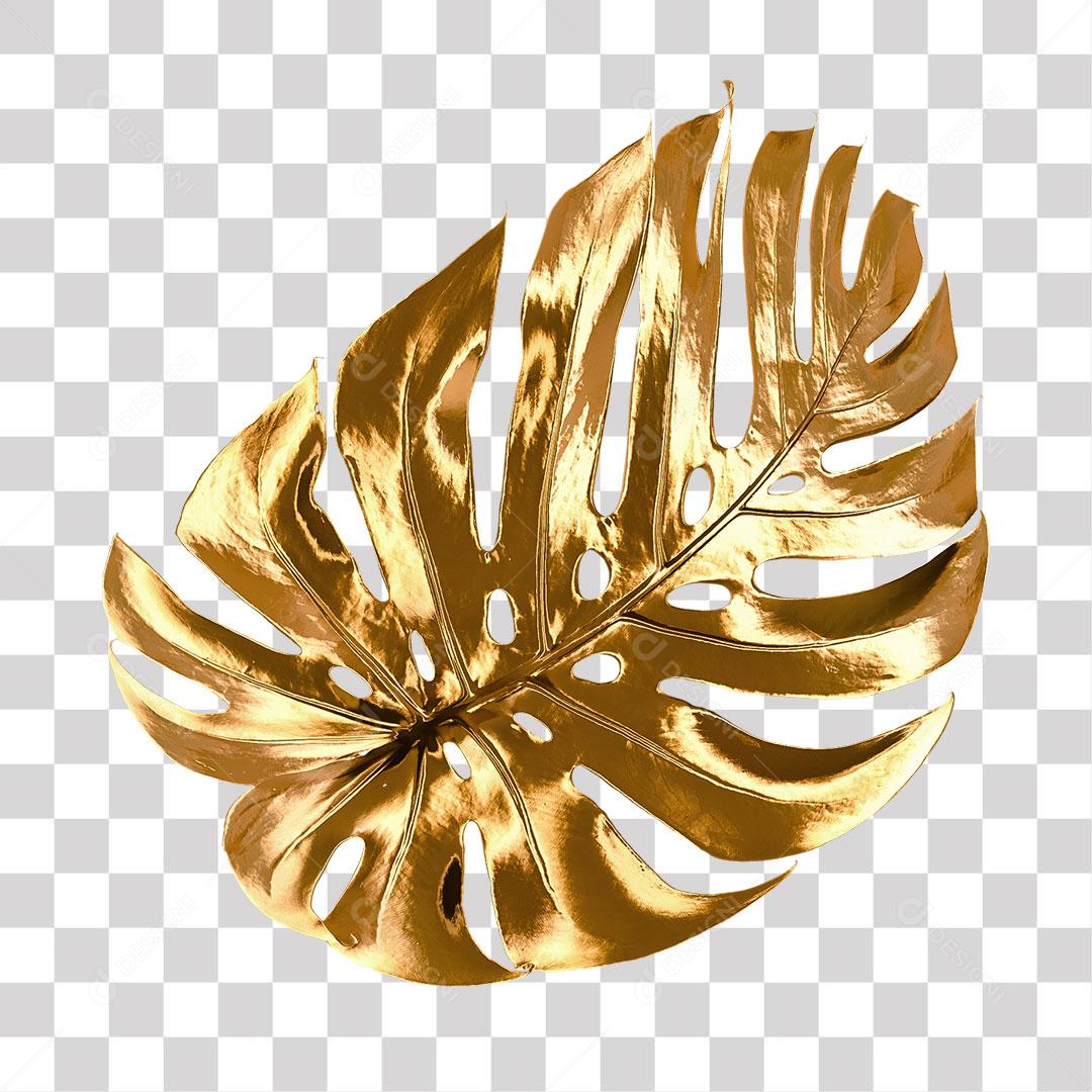 Folha Branca Elemento Para Composição PNG Free