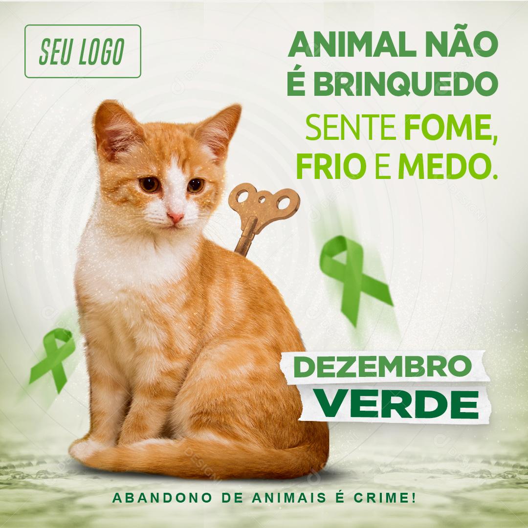Animal Não e Brinquedo Sente Fome Frio e Medo Social Media PSD Editável