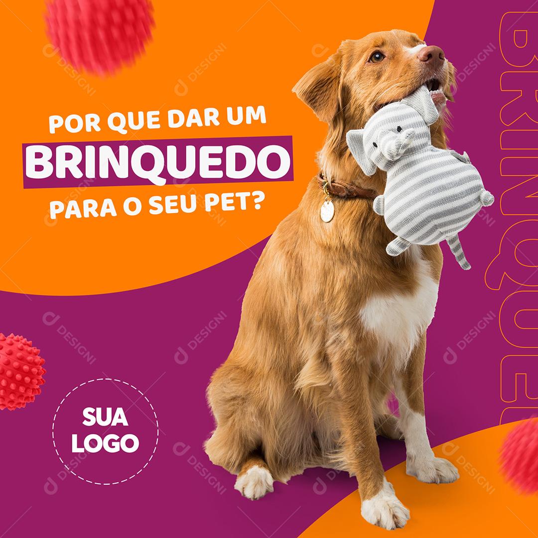 Post Petshop Por Que Dar Um Brinquedo Social Media PSD Editável