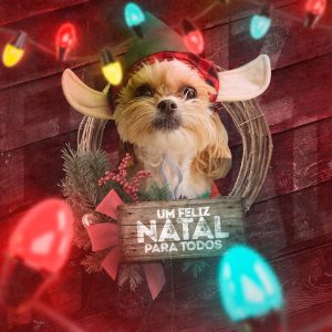 Um Felix Natal Para Todos Social Media PSD Editável