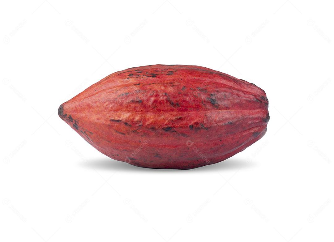 Foto Cacau Fruta Comida Natural Vermelha Isolada Imagem JPG