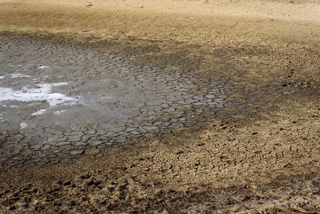 Lago Seco E Rachado Causado Pela Seca Na Paraíba Brasil Imagem JPG