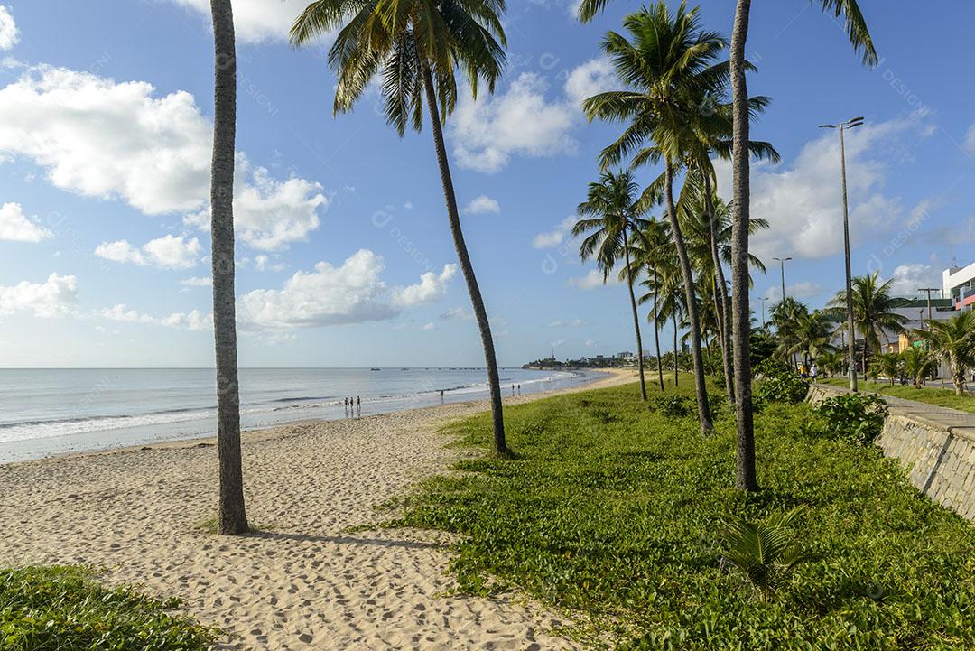 Joao Pessoa Paraiba Brazil 25 De Maio De 2021 Praia Da Manaíra Com Coqueiros Imagem JPG