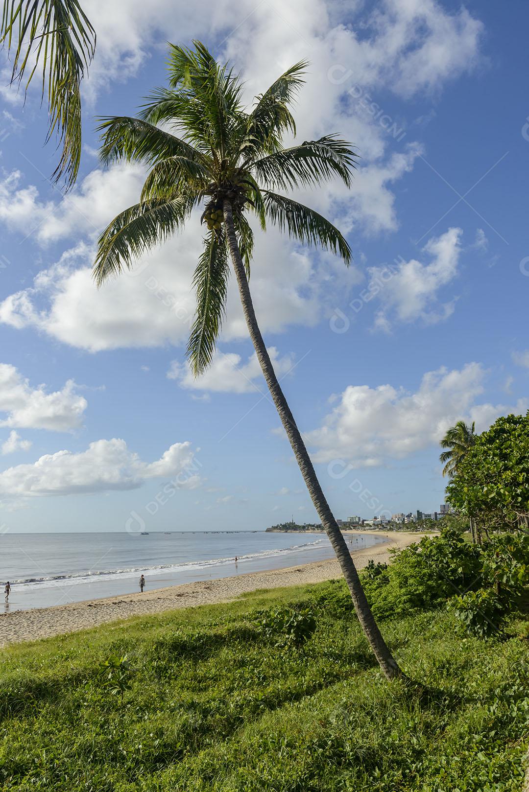 Joao Pessoa Paraiba Brazil Praia Com Coqueiros 1 Imagem JPG